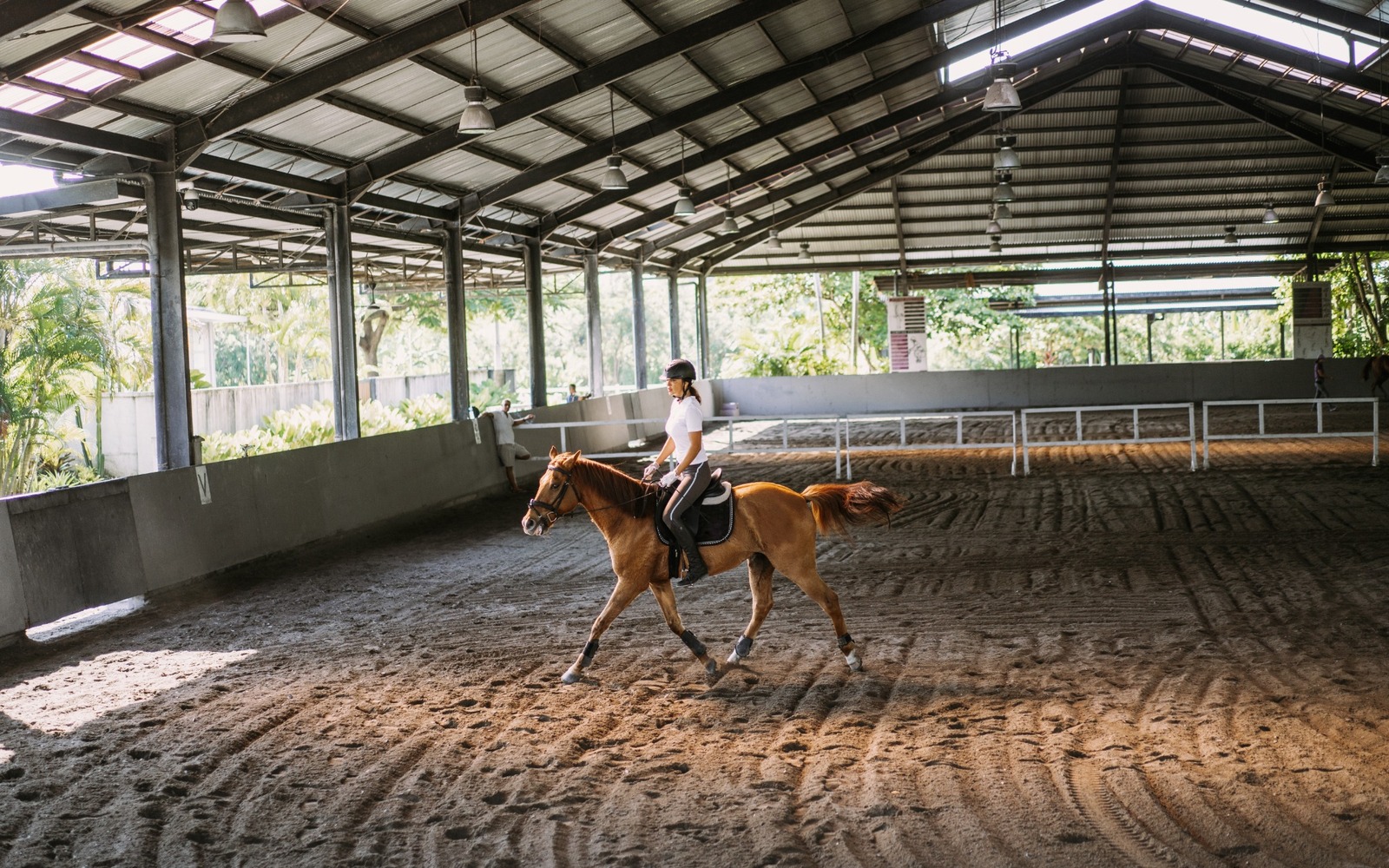 Barns and arenas 3D visualization